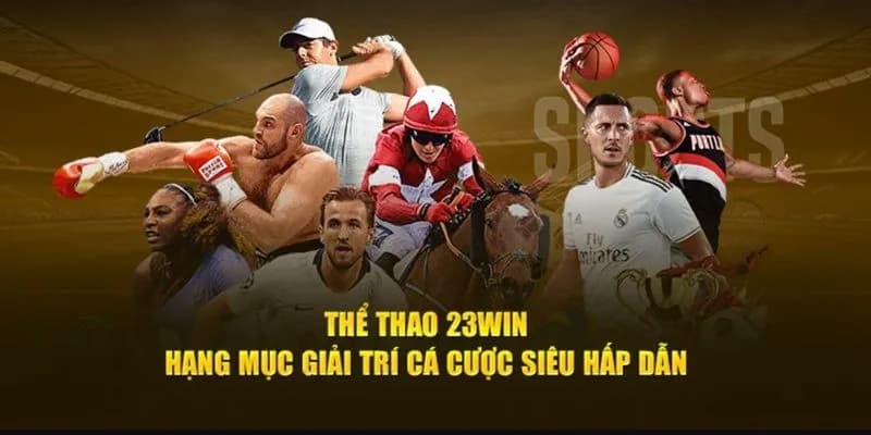 Các loại hình thể thao phổ biến trong cá cược